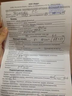 Эхоструктура печени повышена