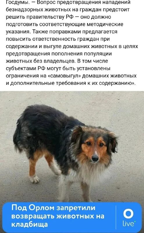 Куколка. Потерянная пара альфы рина беж читать онлайн бесплатно. Мой бывший зверь вернуть истинную читать. Мой бывший зверь вернуть истинную читать. Потерянная пара альфы читать.