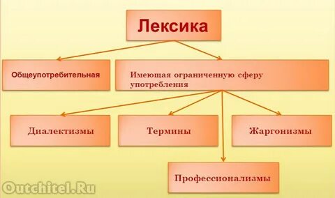 Проверочная работа 6 класс профессионализмы диалектизмы