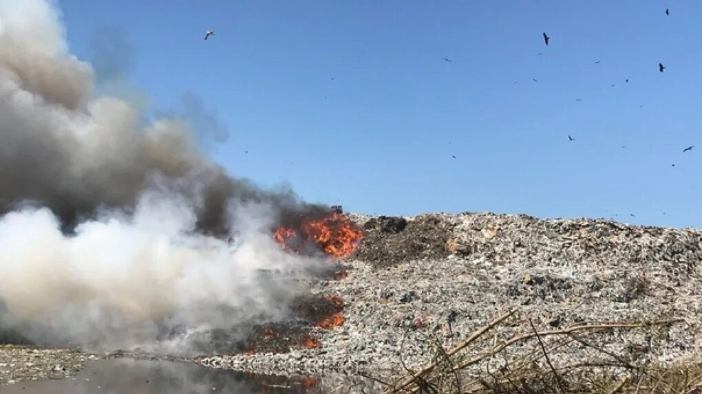 Пожар на мусорном полигоне в новосибирске. Пожар на мусорном полигоне в новосибирске. Смог в новосибирске. Левобережный мусорный полигон. Полигон горит новосибирск.