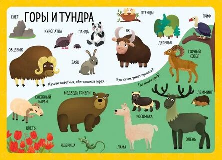 Словарь животных