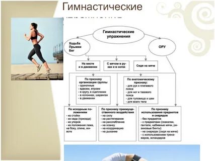 Виды гимнастической ходьбы