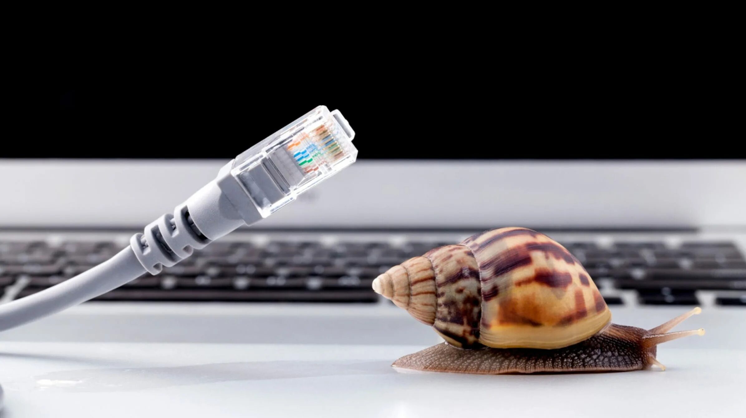 Интернет wifi медленно работает. Медленный интернет. медленный интернет картинки. скоростной интернет реклама. тормозит интернет.