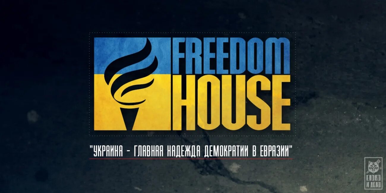 Организация дом свободы. Дом свободы неправительственная организация. Freedom House. Уровень демократии Фридом Хаус. Украина и фонд Freedom House.