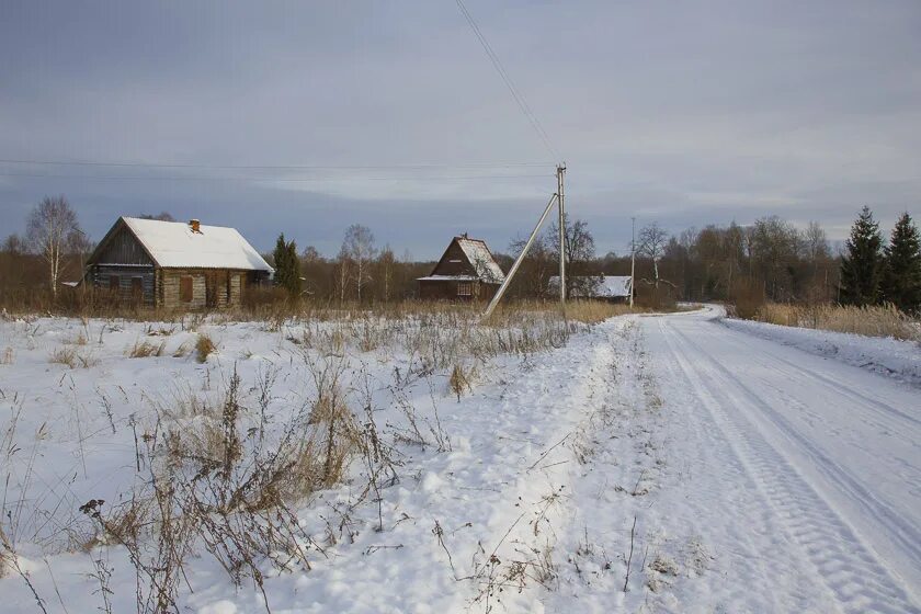 Горлова село. Голочелово Костромская область. Деревня Голочелово Костромская область. Деревня Голочелово Антроповский район. Горлово Поназыревского района.