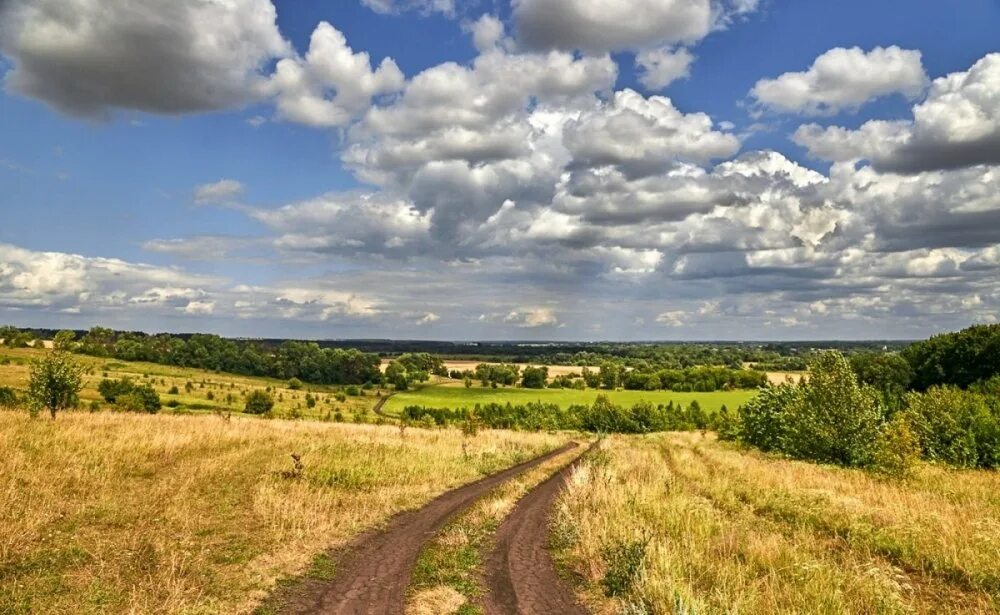 Среднерусская лесостепная провинция. Запорожье степь. Видно даль бескрайнюю. Поля и степи россии. Пейзажи россии.