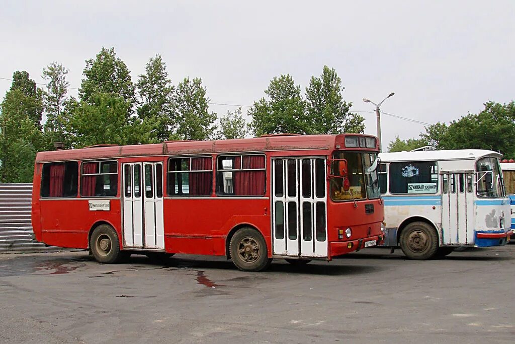 ЛАЗ-4202 автобус. ЛАЗ-42021 автобус. ЛАЗ 4202 И ЛАЗ 695н. ЛАЗ 4302.