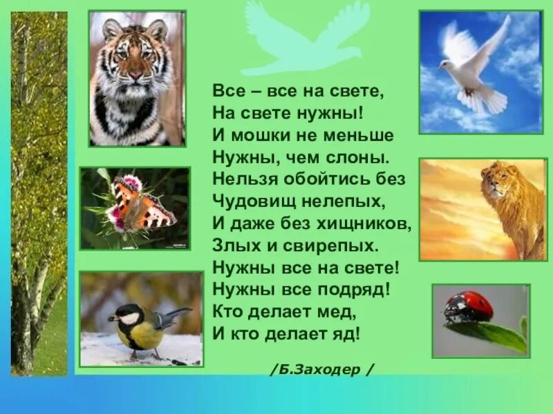 Все на свете нужны текст. Все на свете нужны. Все все на свете нужны стихотворение. Все-все на свете на свете нужны и мошки не меньше нужны чем слоны. Все нужное.