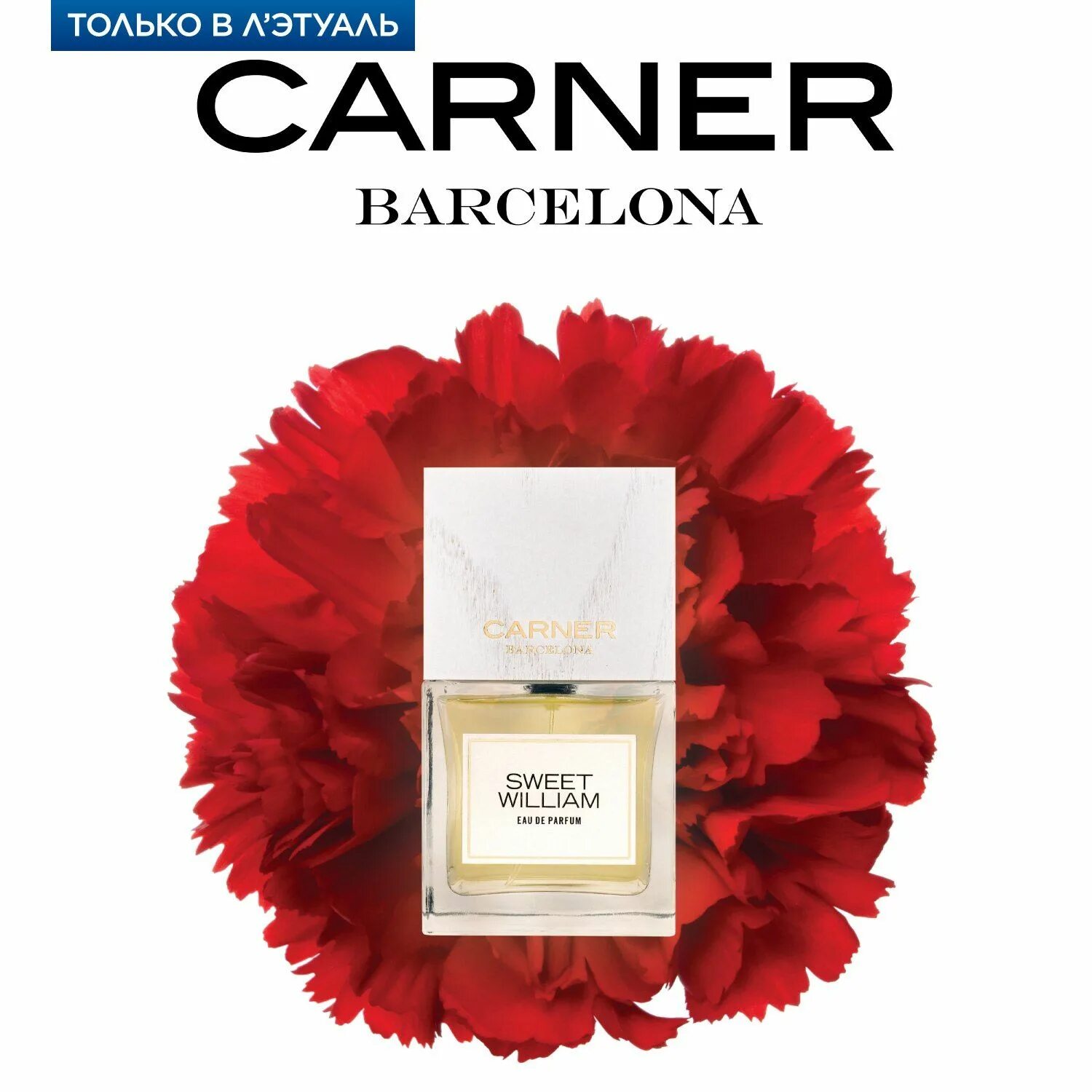 Sweet william carner barcelona. Карнер барселона парфюм. Sweet william carner barcelona. Carner barcelona bo bo. Carner sweet william.