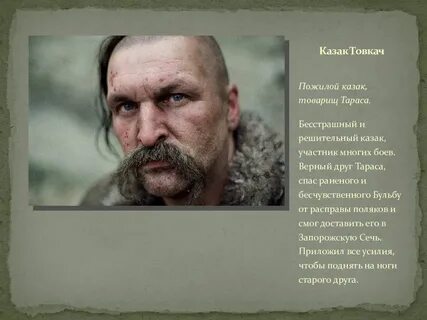 Товарищи тараса бульбы