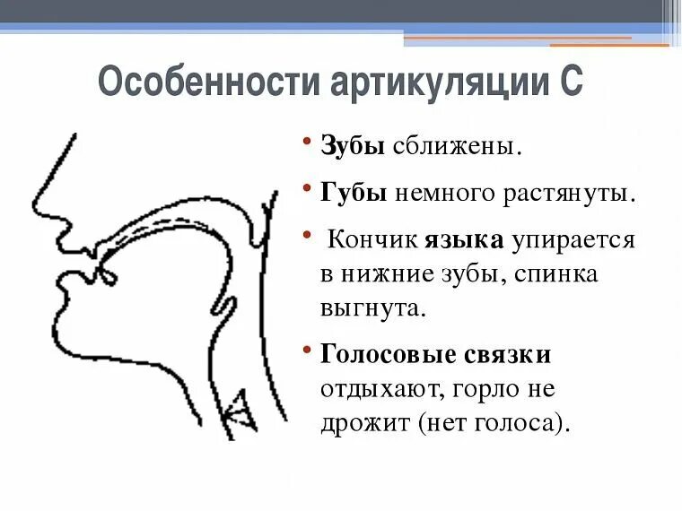 Правильная артикуляция звука с для детей. Профили артикуляции звуков. Акустико артикуляционный профиль звука с. Профили артикуляции свистящих звуков рисунок.