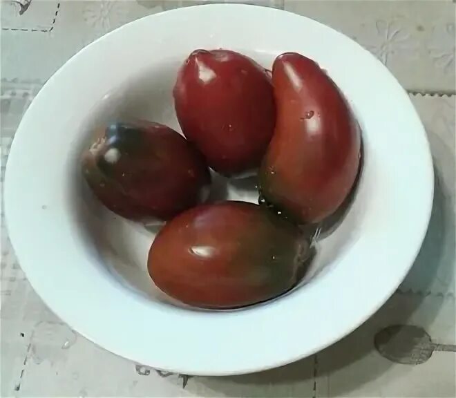 Томат блэк бой. Томат блэк бой. Томат черная принцесса. Томат гном блэк бой. Томат блэк бой.