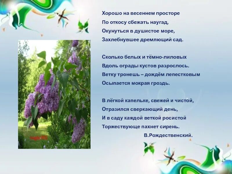 У том зеленом у саду