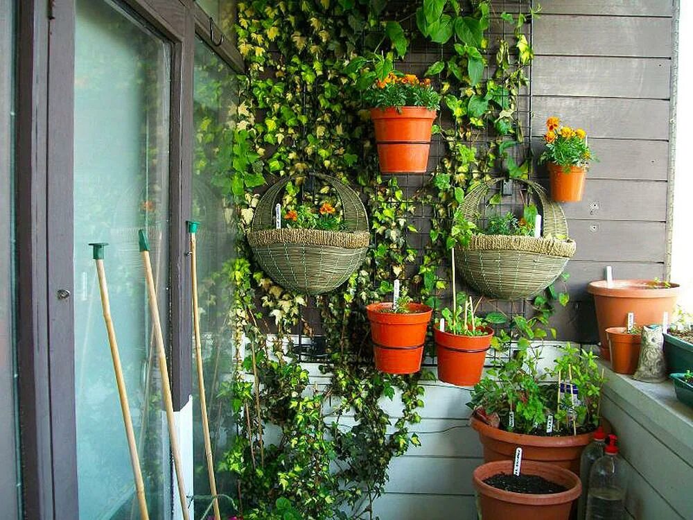 Стенды для школьных столовых. Сад оранжерея на балконе. Интерьер кафе. Приятный уголок. Приятный уголок.