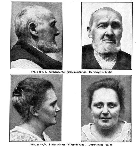 Расы западной европы