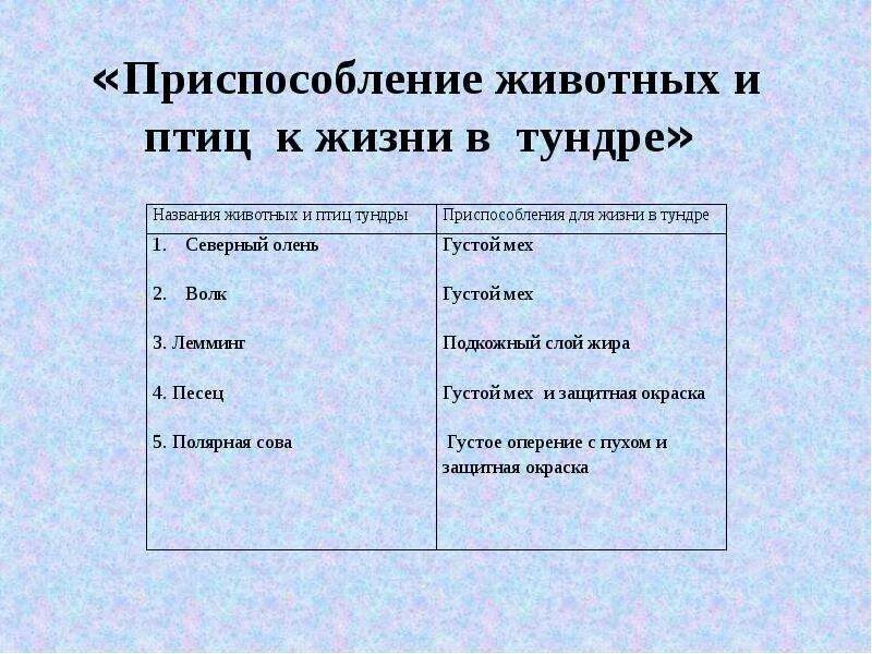 Тайга приспособление животных. Приспособления животных. условия приспособления животных в тайге. приспособление животных и растений в тайге. приспособление к условиям.