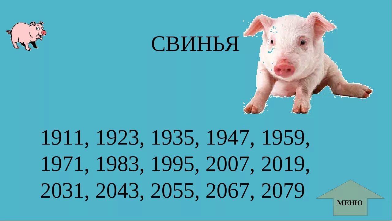 Год свиньи. Год свиньи какой год. Когда будет год свиньи. В каком году будет год свиньи. Год свиньи зодиака