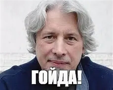 Гойда мем