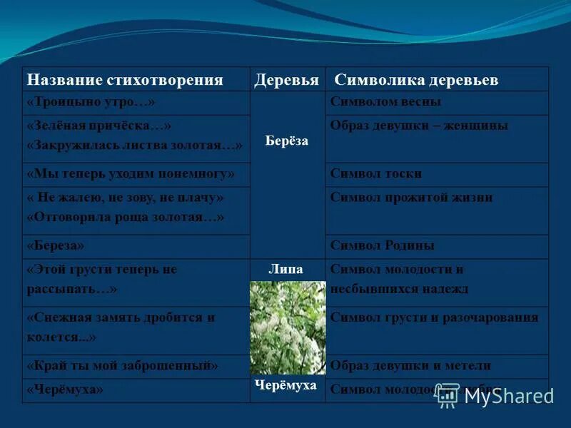 заглавие стихотворения это. квадрат квадратов стих. список стихотворений александра сергеевича пушкина. отрывки из стихов. как называются части стихотворения.
