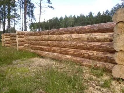 Нов сруб