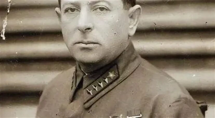 Мехлис биография