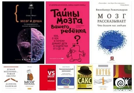 Мозг рассказывает что делает нас людьми