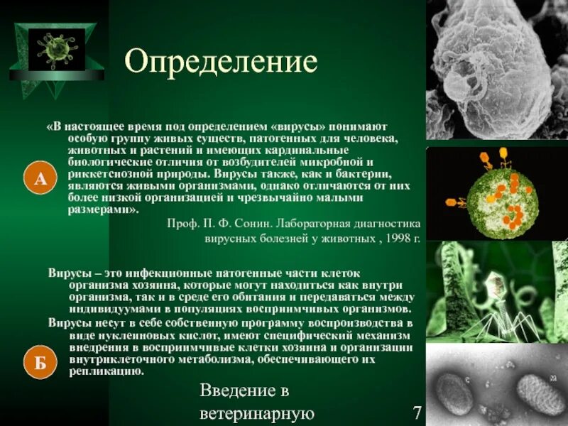 Вирусов в природе и жизни человека. Вирусы патогенные для человека. Вирусы растений животных и человека. Вирусы определение. Патогенные свойства вирусов.