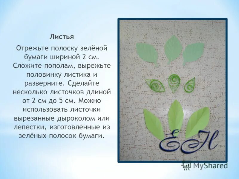 листья деревьев задания. задание с какого дерева листик. как правильно клеить стикеры. задания на листочках. согнуть лист пополам.