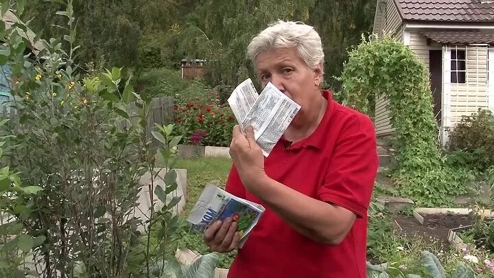 Голова садовая блоггер. Голова садовая. Голова садовая тетя таня 2021. Таня садовые. Голова садовая тетя таня посадка картофель.