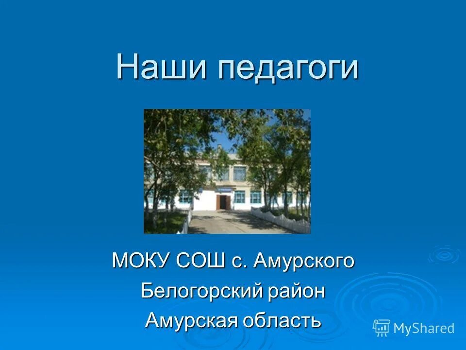 Белогорский район Амурская область. МОУ СОШ С Васильевка Амурская область. Васильевская школа Белогорского района Амурской области. Пригородная СОШ Белогорск Амурская.