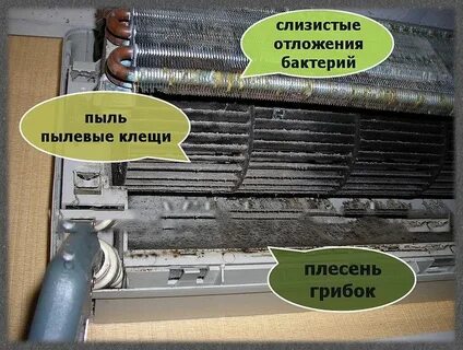 Плесень в кондиционере
