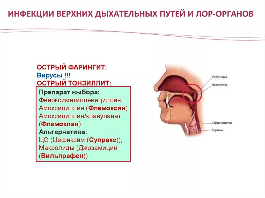 Болезни лор органов