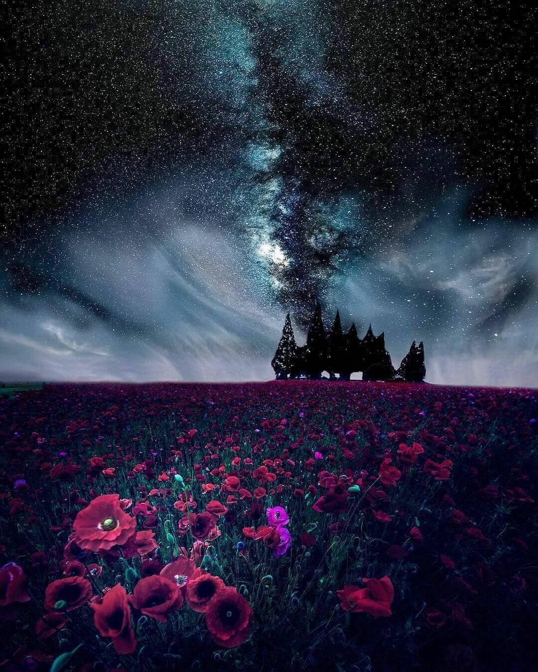 Цветная ночь. Красивая ночь. Цветы ночью. Красивые цветы ночью. Пейзаж ночь.