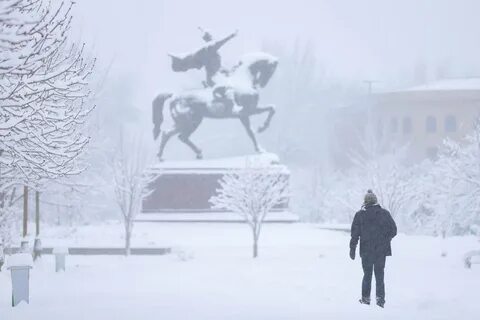 Ташкент январь 2024