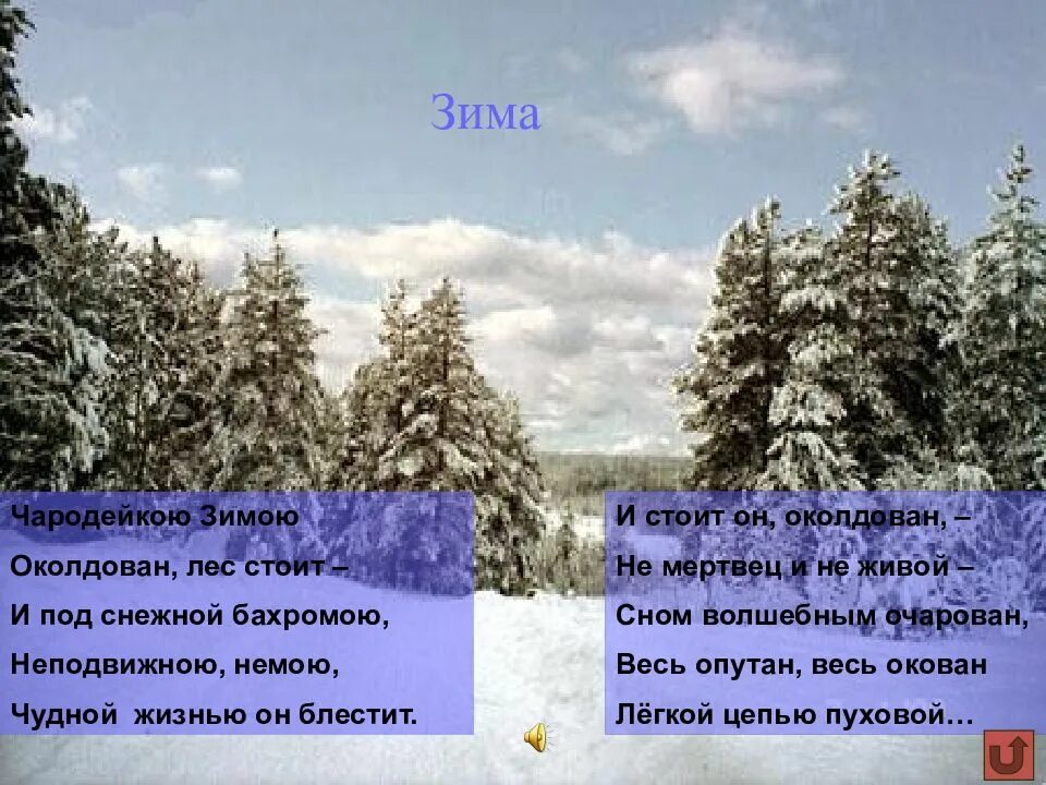 Блестит чародейка чародейка околдован околдован блестит