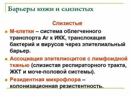 Барьеры иммунной системы