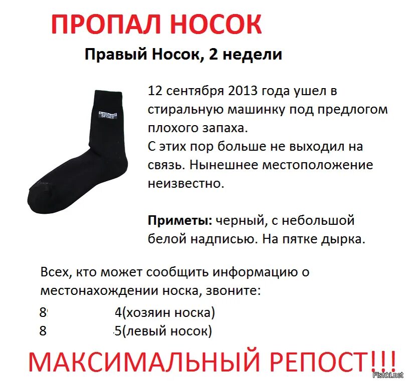 Носки в истории. Носки прикол. Шутки про носки в подарок. Закон про носки. Интересные факты о носках.