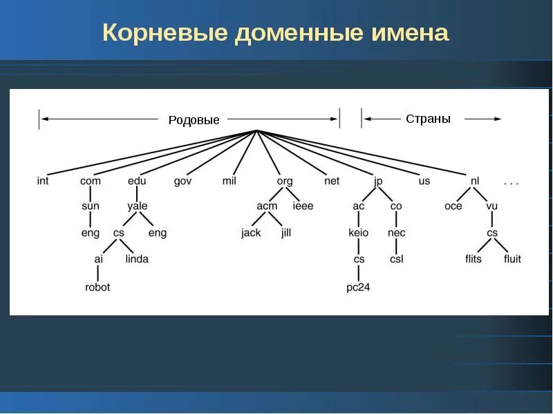 Корневой уровень. Имя корневого домена. Корневой домен. Корневая зона системы доменных имен. Корневое доменное имя.