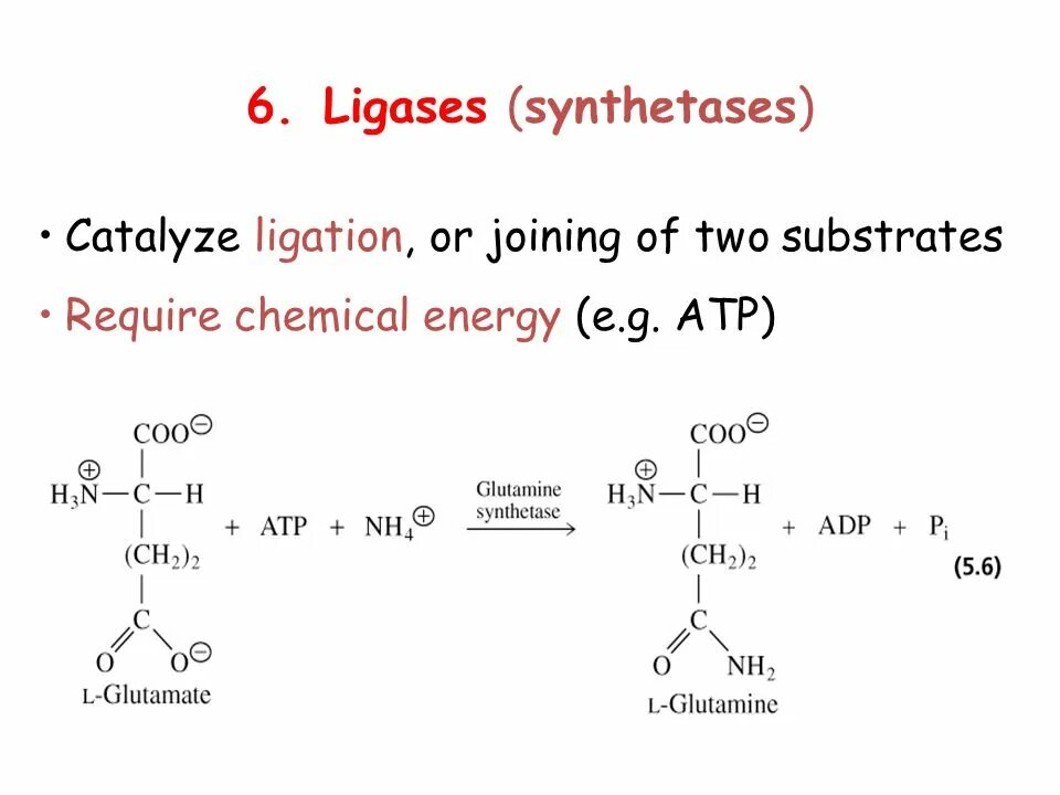 Лигазы примеры. Лигазы подклассы. днк лигаза. enzymes structure.