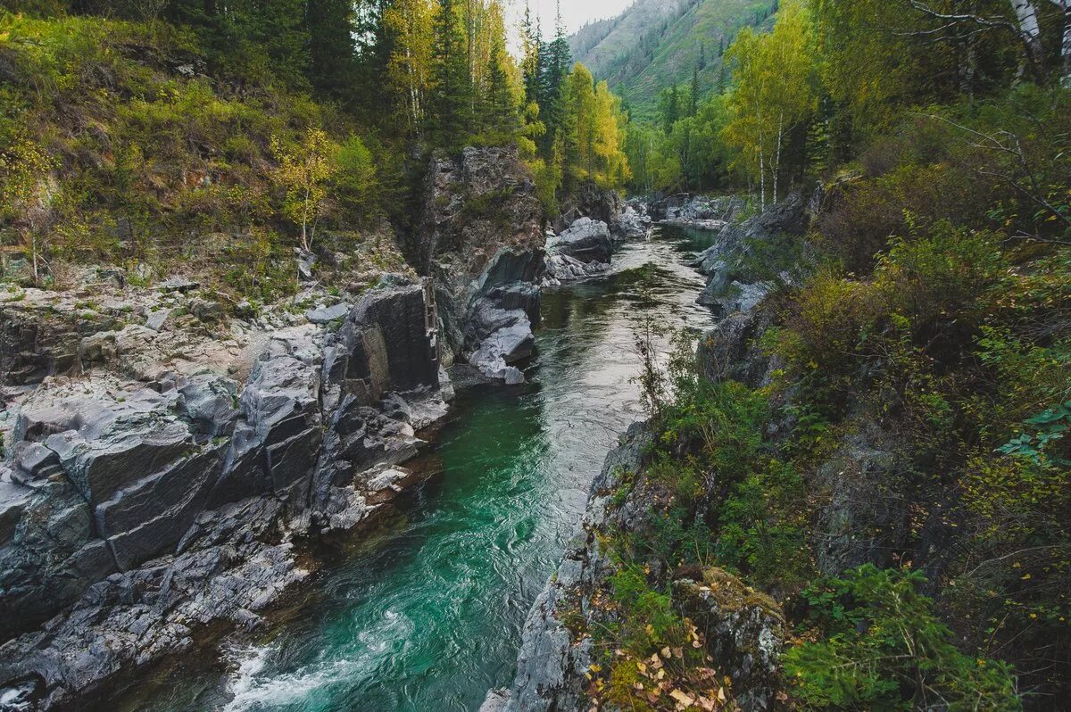 девичьи плесы горный алтай. река кумир горный алтай. девичьи плесы. девичьи плесы горный алтай. девичьи плесы горный алтай.