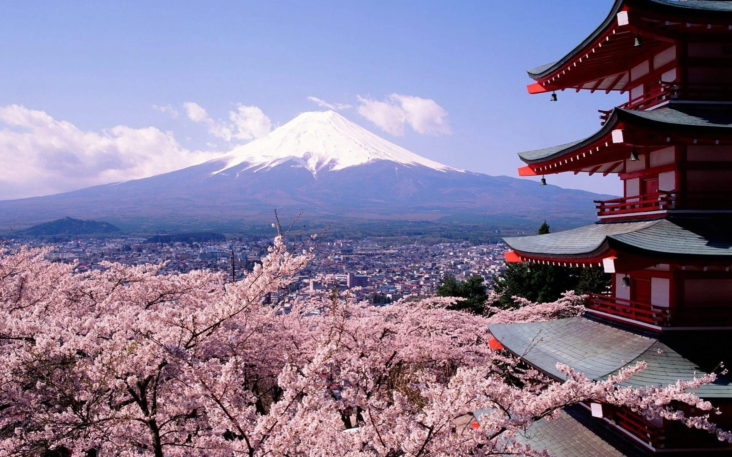 Токио гора Фудзияма. Токио Сакура Фудзияма. Япония гора Фудзияма и Сакура. Киото цветение Сакуры.