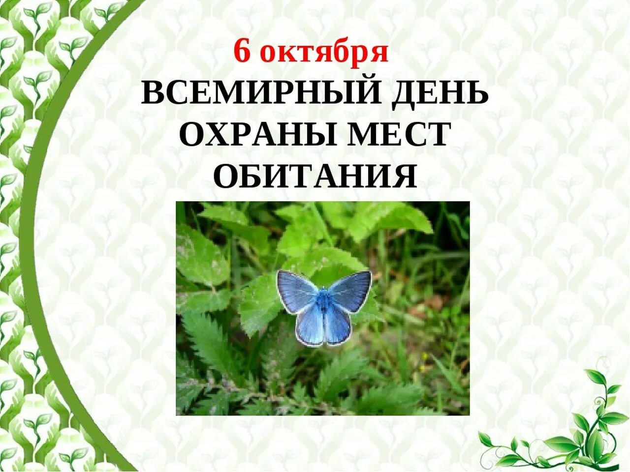 7 6 октябрь. Всемирный день охраны мест обитаний. День охраны мест обитания. 6 Октября Всемирный день охраны. Всемирный день охраны обитания 6 октября.