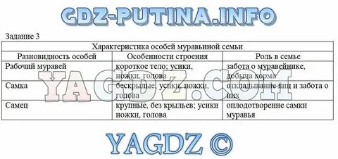 Задание 3 биология