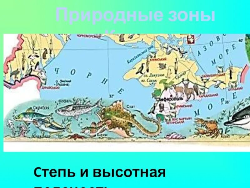 Севастополь какая природная зона. Природные зоны Крыма география. Природные зоны Крыма карта. Природные зоны Крымского полуострова на карте. Природные зоны полуострова Крым.