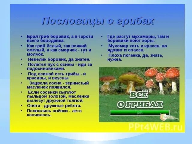 Мы знаем что когда берешь грибы. Пословицы про грибы. пословицы и приметы о грибах. поговорки про грибы. цитаты про грибы.