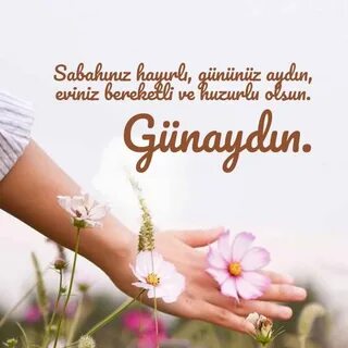 Gunaydin canim.