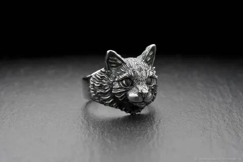 Silver cat