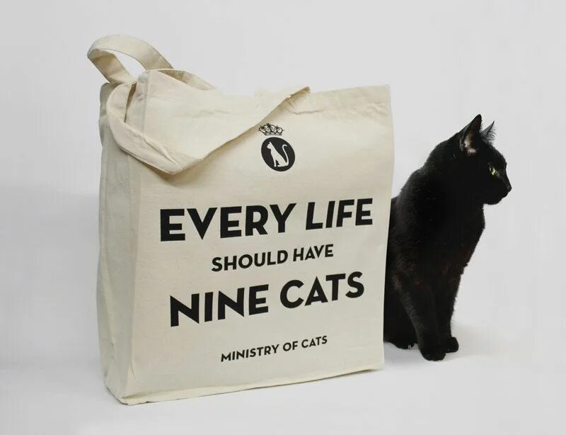 Мешок для кошки. Cats bag перевод. Cat's out of the bag идиома. Cat's out of the bag идиома. To let the cat out of the bag.