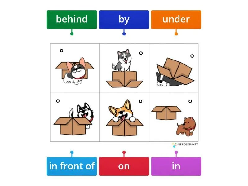 Spotlight 3 prepositions wordwall