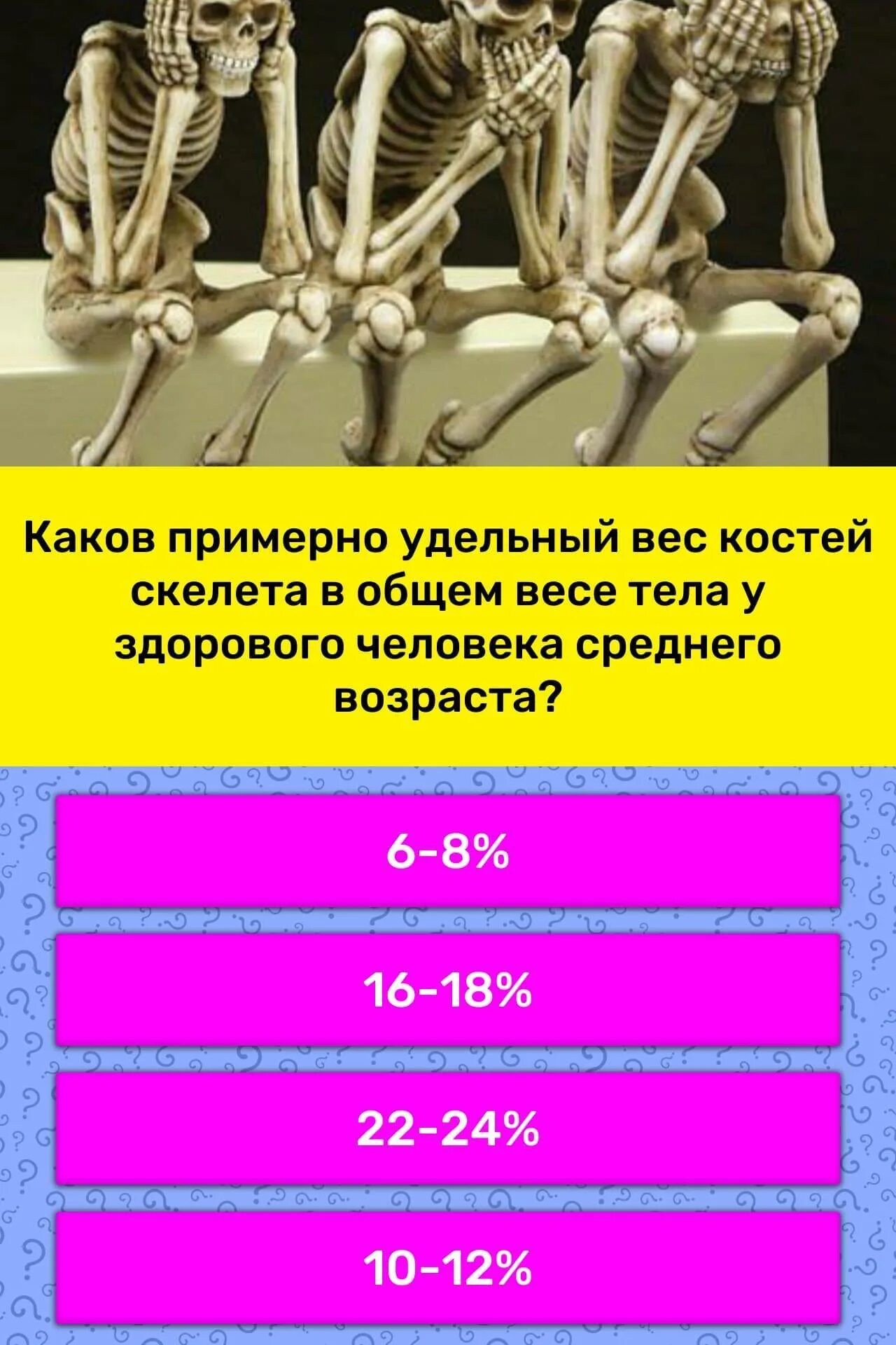Количество костей у человека. Сколько костей у человека взрослого. Сколько весят кости взрослого. Сколько костей в скелете взрослого человека. Сколько весит скелет человека.